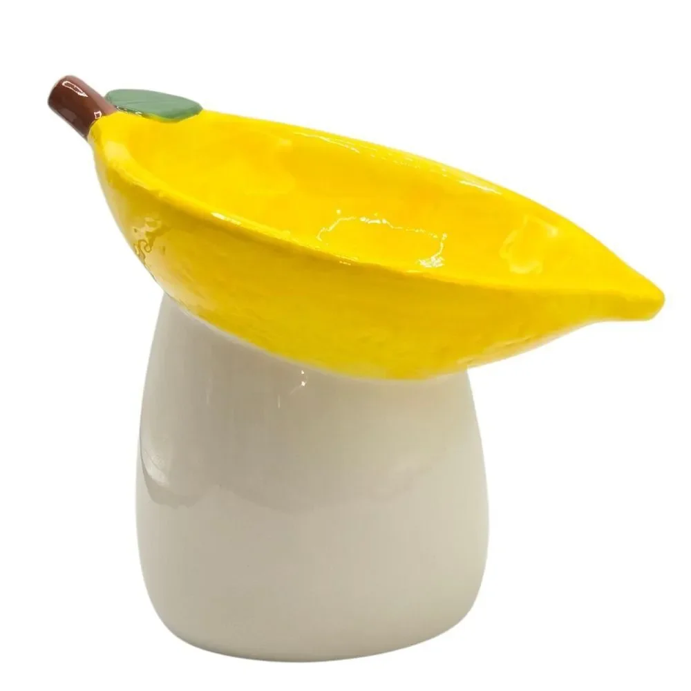Rockybear Pet Tilted And Elevated Cat Drinking Water Bowl Lemon‎ Pattern 6